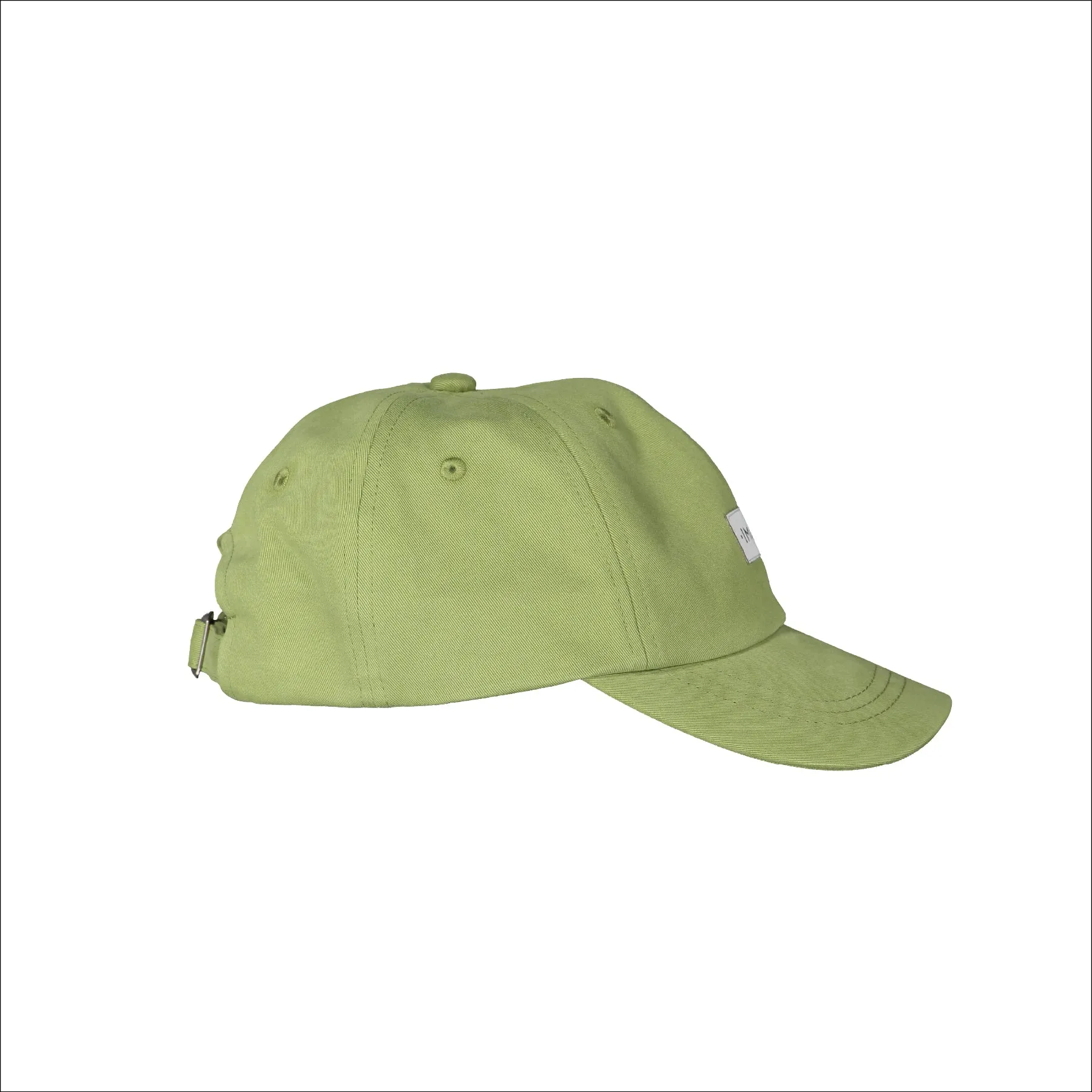 Iguana Cap