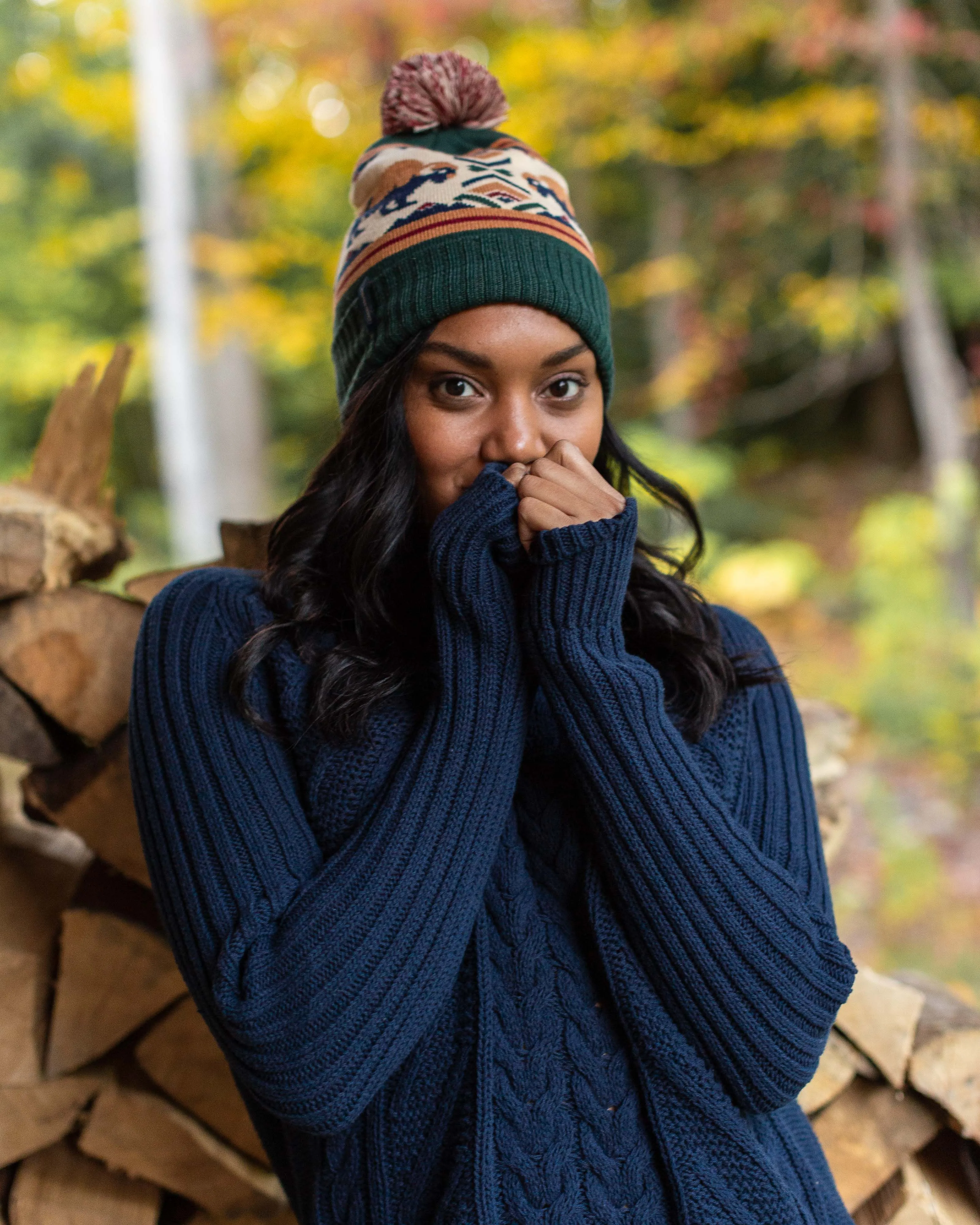 Recycled Bison Band Beanie